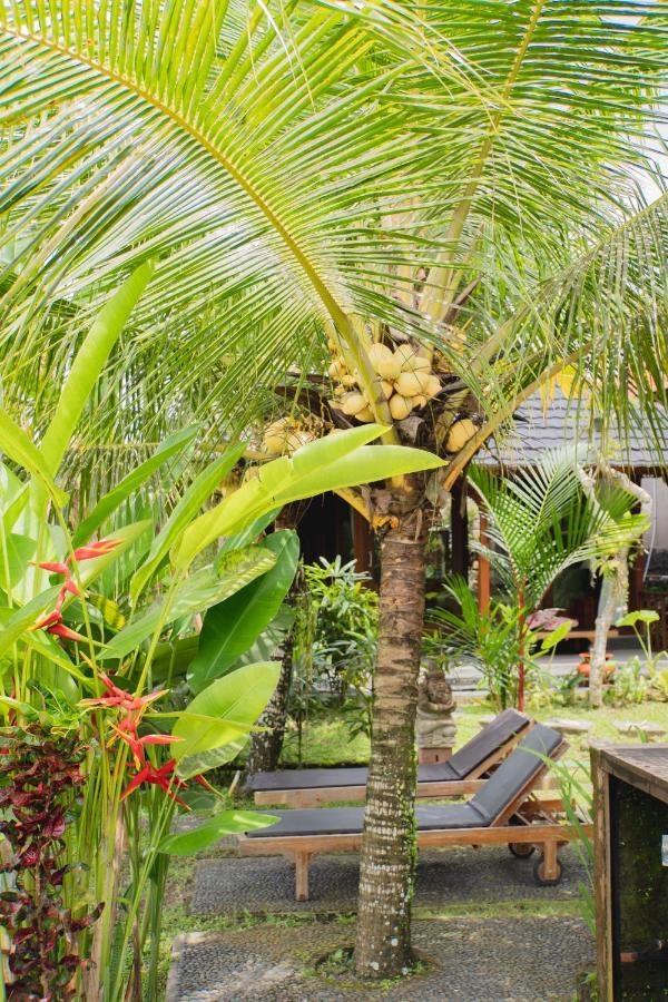 Mancur Guesthouse Ubud Eksteriør billede
