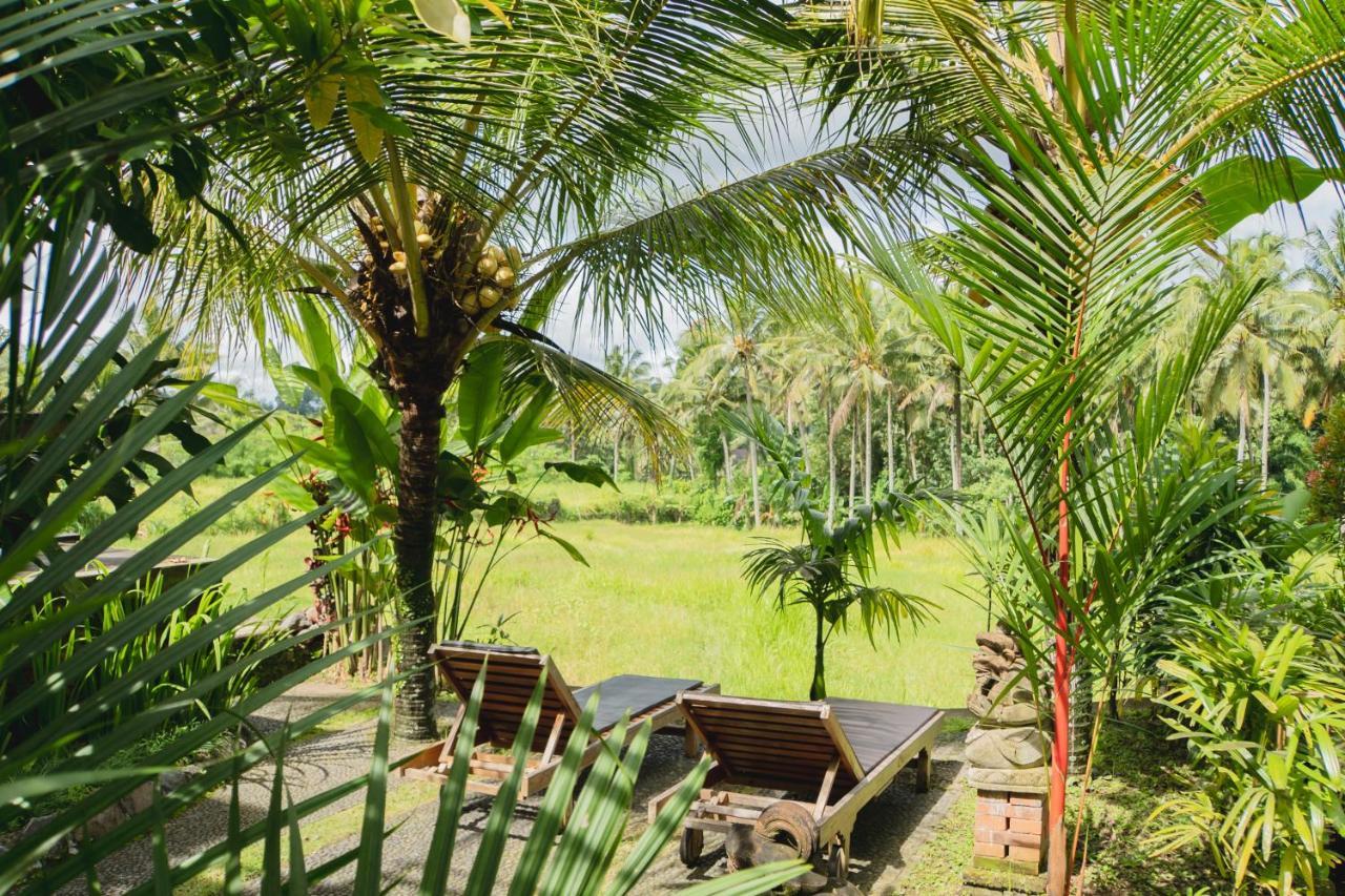 Mancur Guesthouse Ubud Eksteriør billede