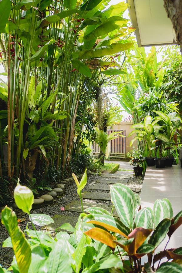 Mancur Guesthouse Ubud Eksteriør billede