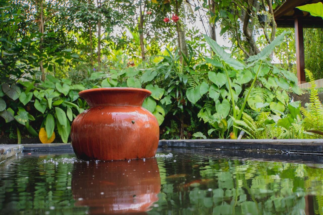 Mancur Guesthouse Ubud Eksteriør billede