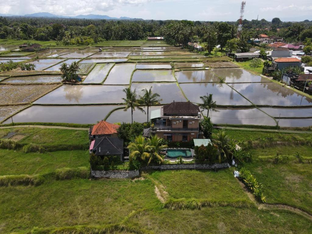 Mancur Guesthouse Ubud Eksteriør billede