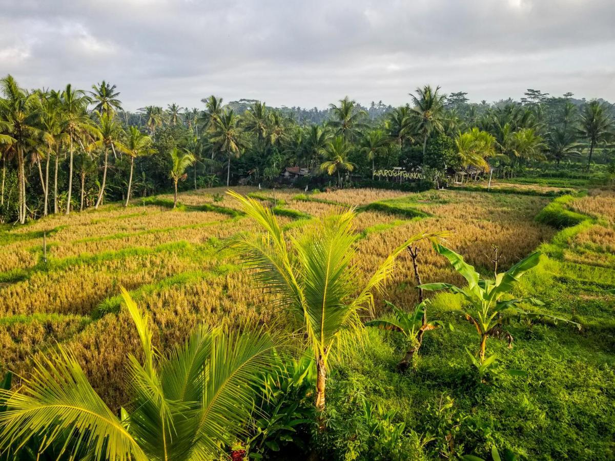 Mancur Guesthouse Ubud Eksteriør billede
